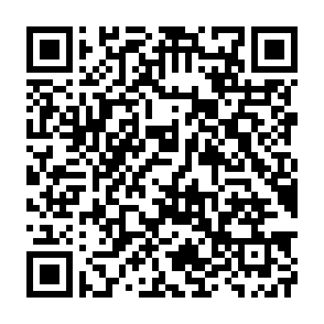 QR_733229